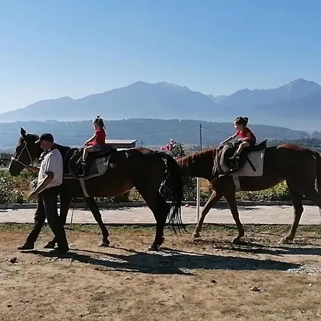 Lejlighed Discovery Bansko
